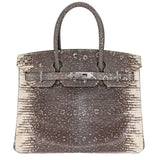 Herm�s 30cm Birkin Ombr√© Lizard Palladium Hardware